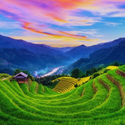 ทัวร์เวียดนาม